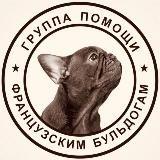 frenchbull_help Канал группы помощи французским бульдогам