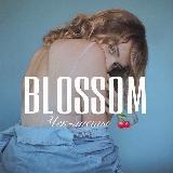 BLOSSOM? Курсы | Чек-листы