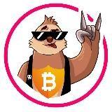 Crypto Sloth