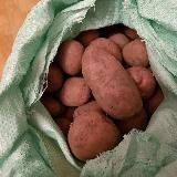 Buy potatoes with delivery Tyumen